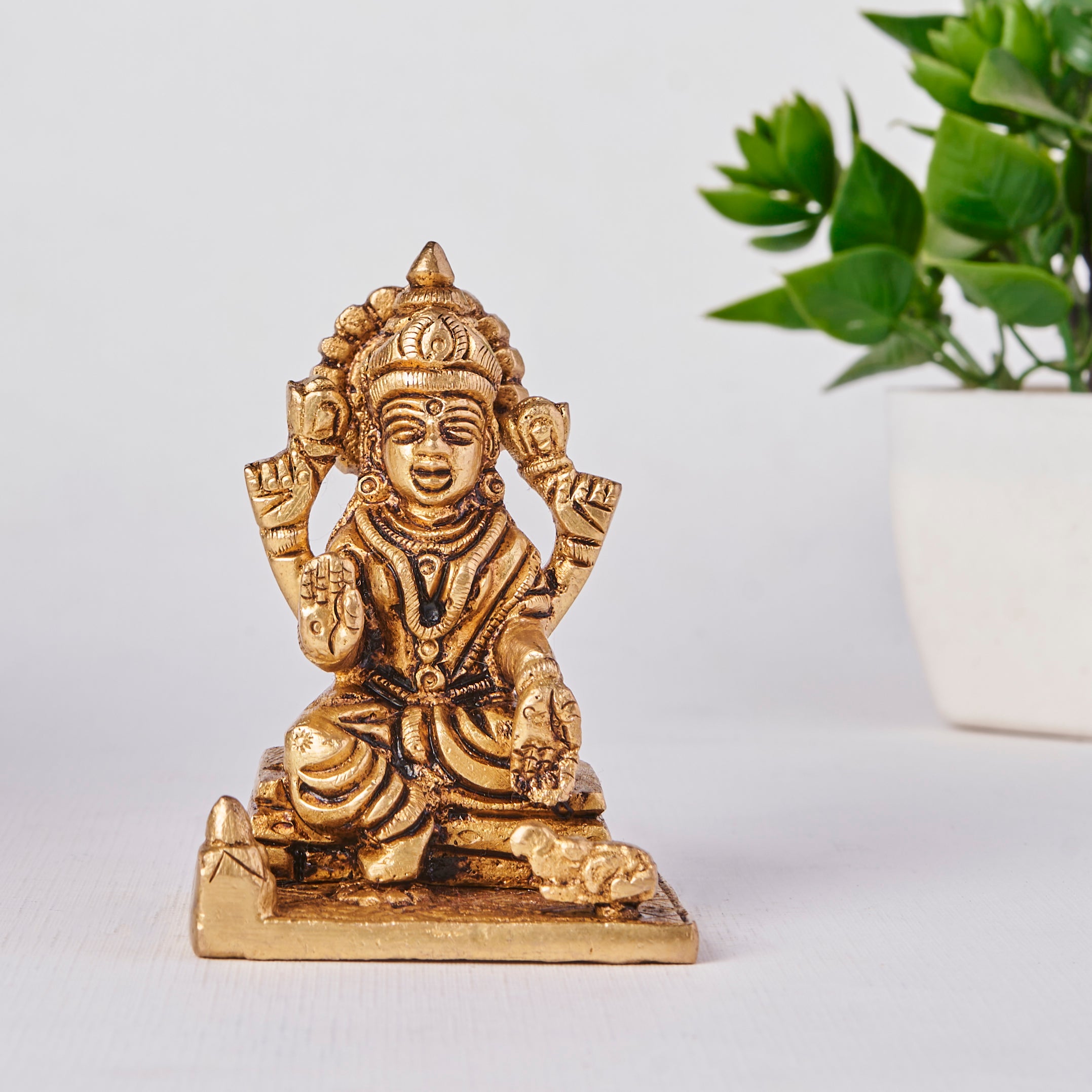 Laxmi (Small)