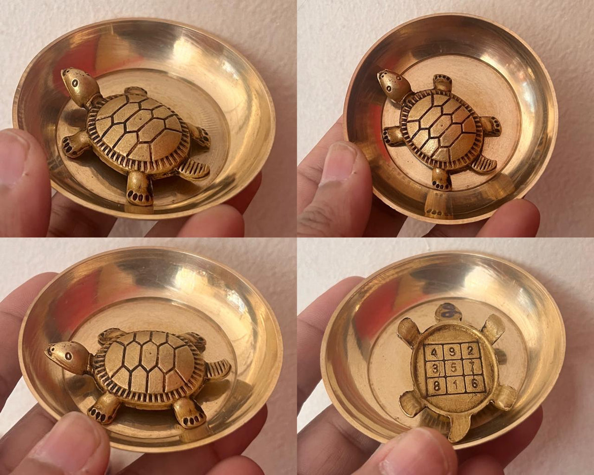 Small Tortoise+plate